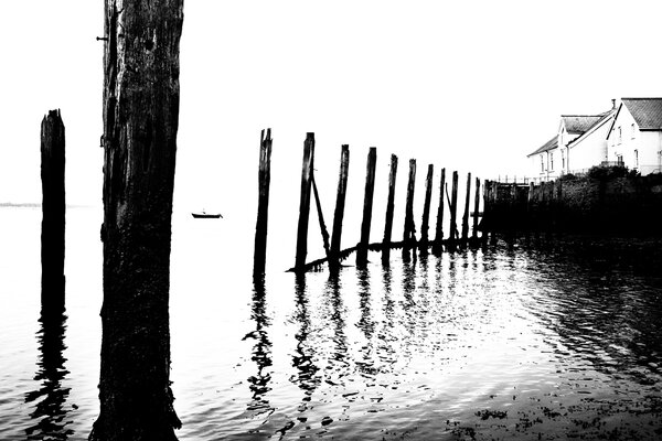 AberdyfiPoles_B&W_F5209-406PN.jpg