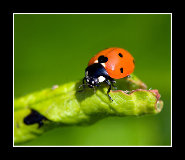 20100521tuin-034.jpg