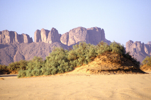 3-29_Butte_acacias_mesas.jpg