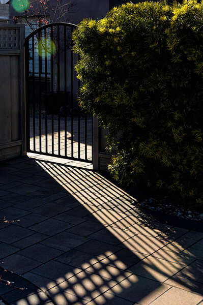 Gate and Shadows