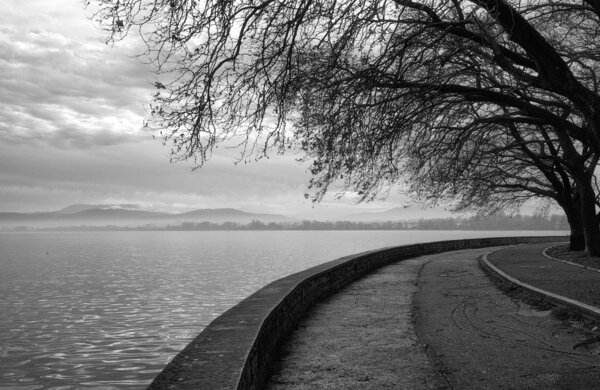 Lake view monochrome 2