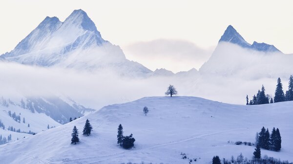 Cold Winter in Emmental, Switzerland