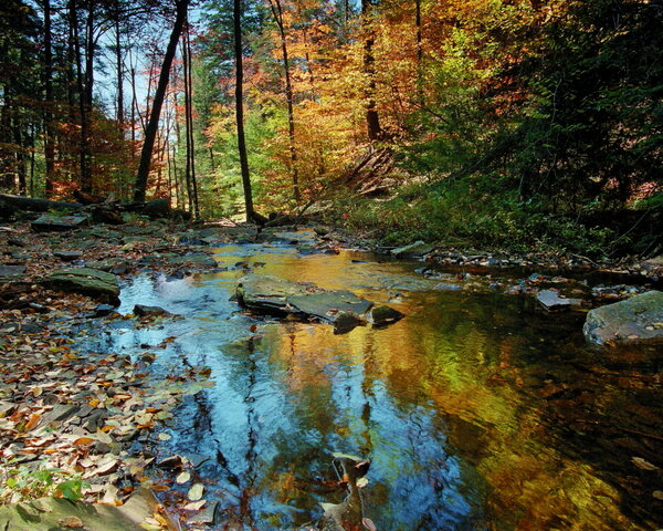 fall reflections.JPG