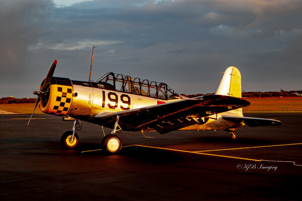 Vintage Air Tours BT-13