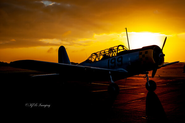 Vintage Air Tours BT-13