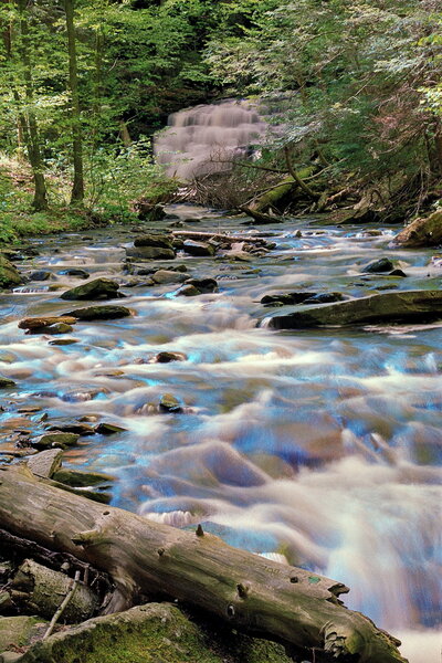 Rickets Glen 4.JPG