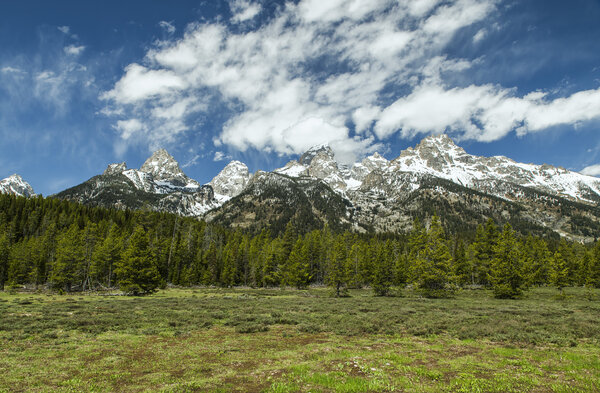 Spring in the Tetons.jpg