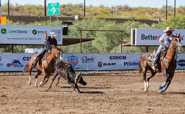 Two Team Roping-2.jpg