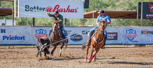 Two Team Roping-3.jpg