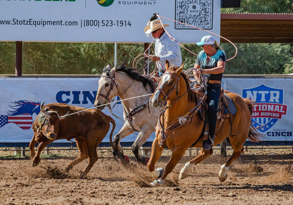 Two Team Roping-4.jpg